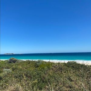 Meet your Posher, Bella